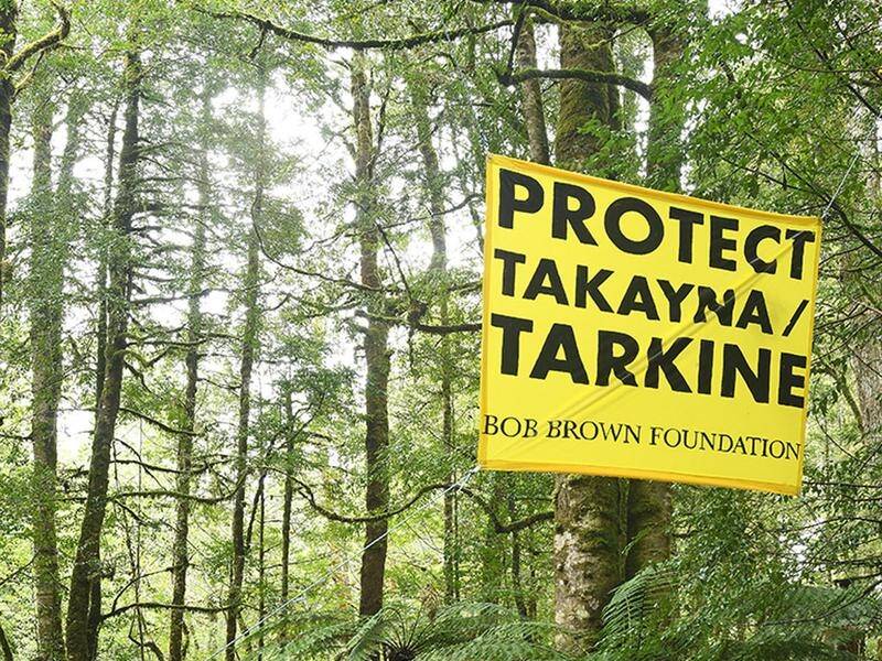 Billy Rodwell was wrongfully held in custody for three days after protesting in the Tarkine forest.