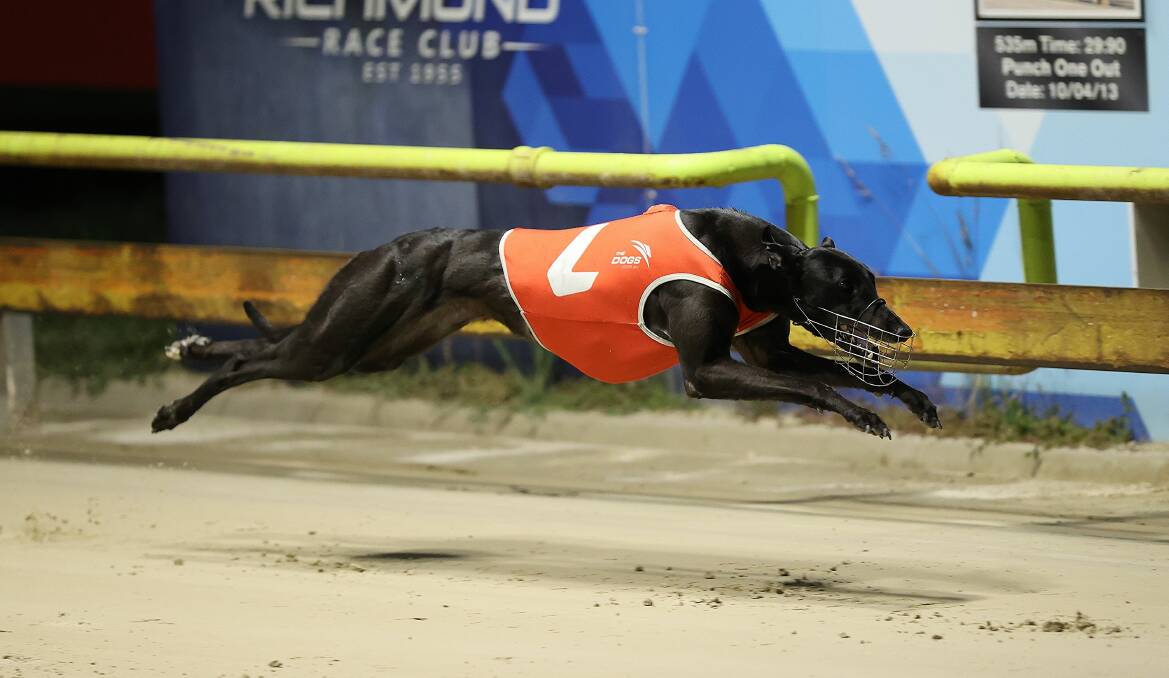 AT FULL STRETCH: Best On Ground takes a win for her famous owners at Richmond. Photo: Lachlan of Redden Photo Video.