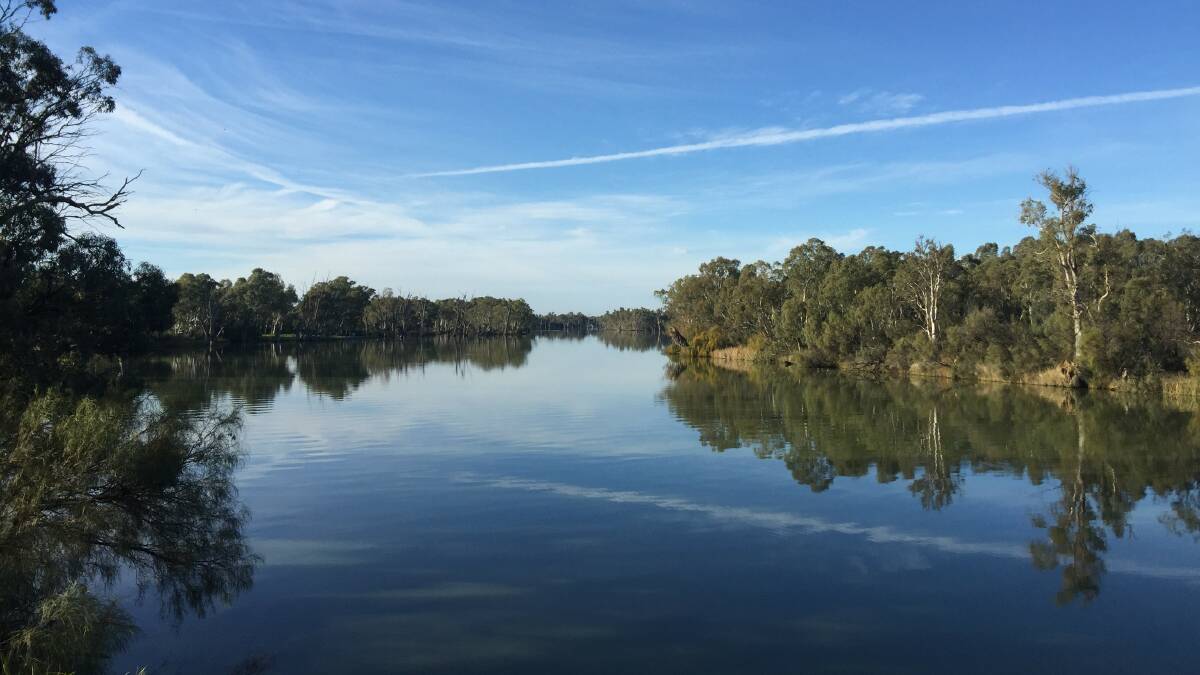 The Murray River at Gol Gol. PHOTO: Contributed