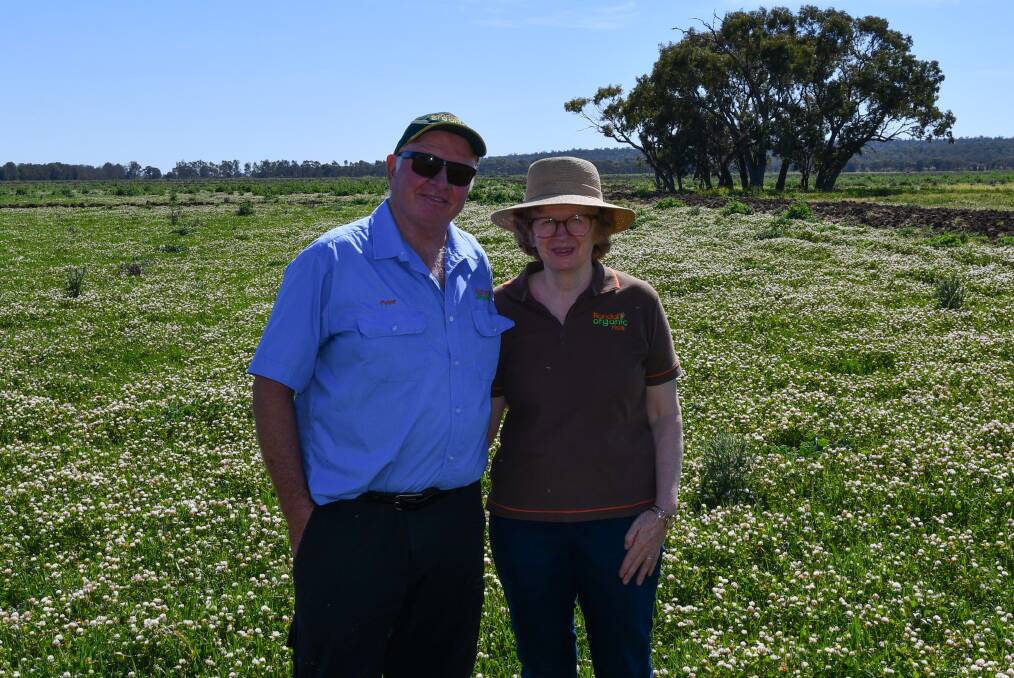 CLOVER: Peter and Jenny Randall standing on their clover laden future rice field which was unused during last season. PHOTO: Robbie Falzon