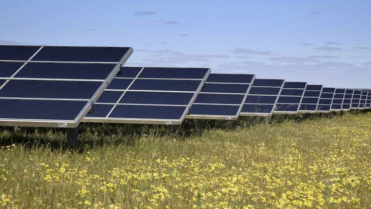 Councils have chance to tap into solar farm boom: Mack