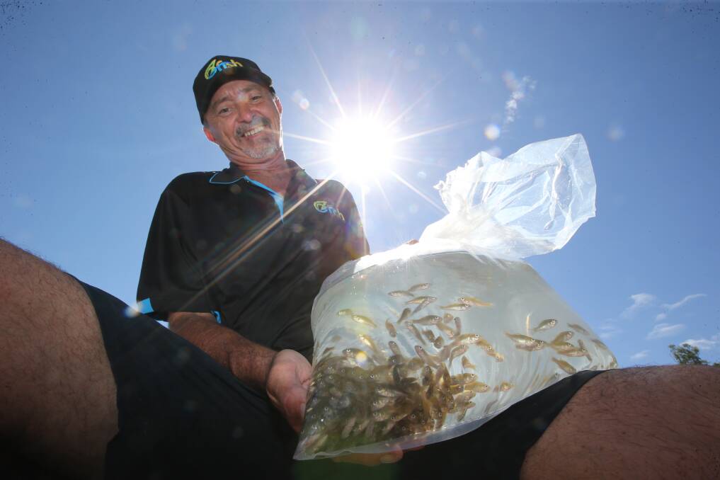 David Harris holds up some of the 6400 fingerlings released into the Murrumbidee. PHOTO: Anthony Stipo