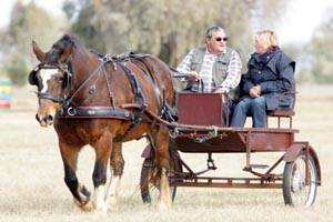 DRIVER Michael Jones from Wagga and groom Julia Hughes from Llanelly in Victoria with "Bonnie" at the Murrumbidgee Carriage Driving Club's latest event at the Murrami Sportsground on June 24.