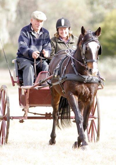 DRIVER Fred Brosso from Wagga and groom Gail Habermann from Coleambally with "Mighty Murray" enjoy the heavy horse event at Murrami.