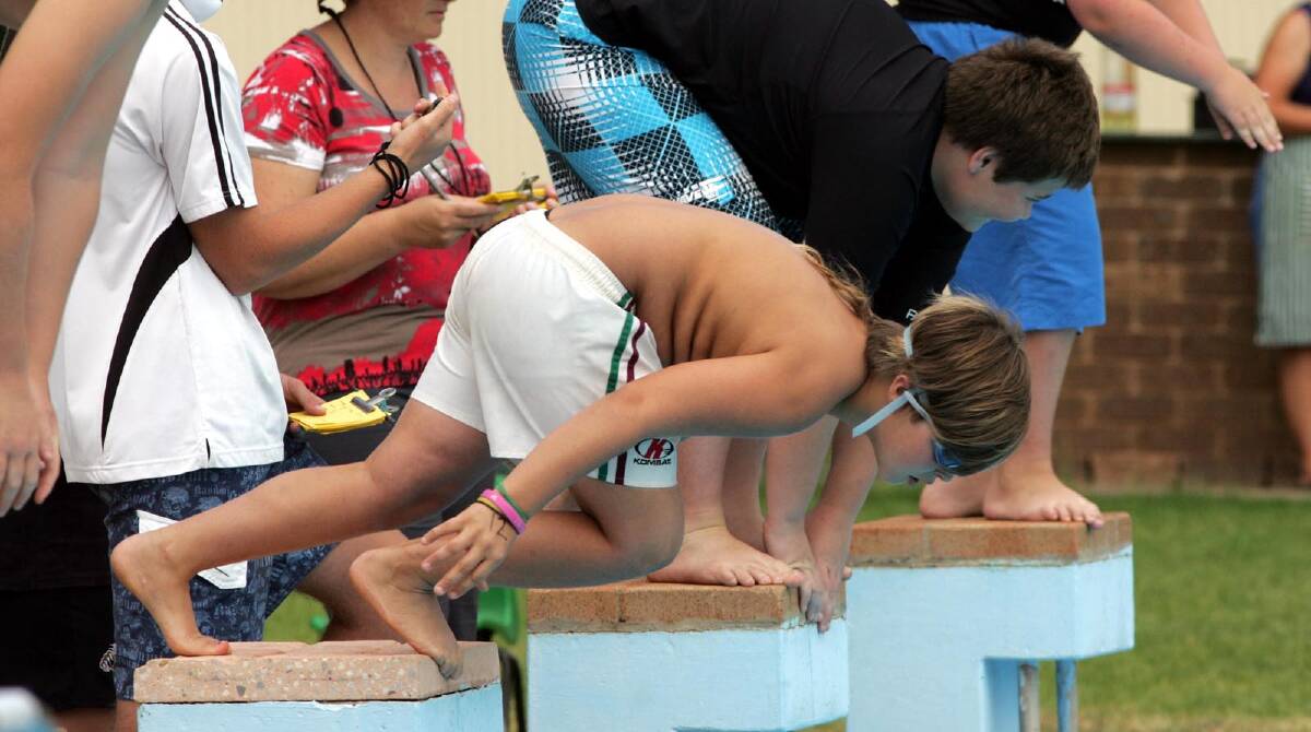 Whitton PS student Jordie Hillman launches into the 12 years boys 50m freestyle