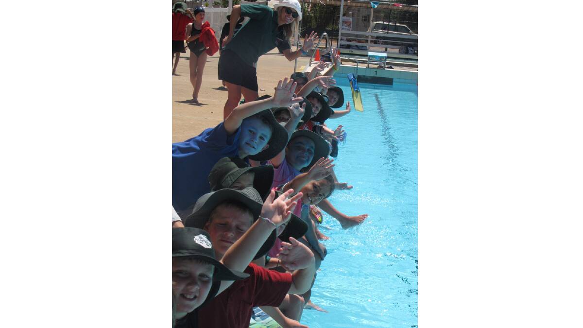 Parkview Primary school swimming carnival.